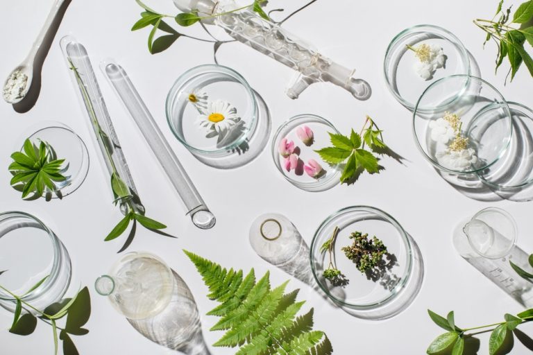 Maquillaje y Cosméticos Naturales